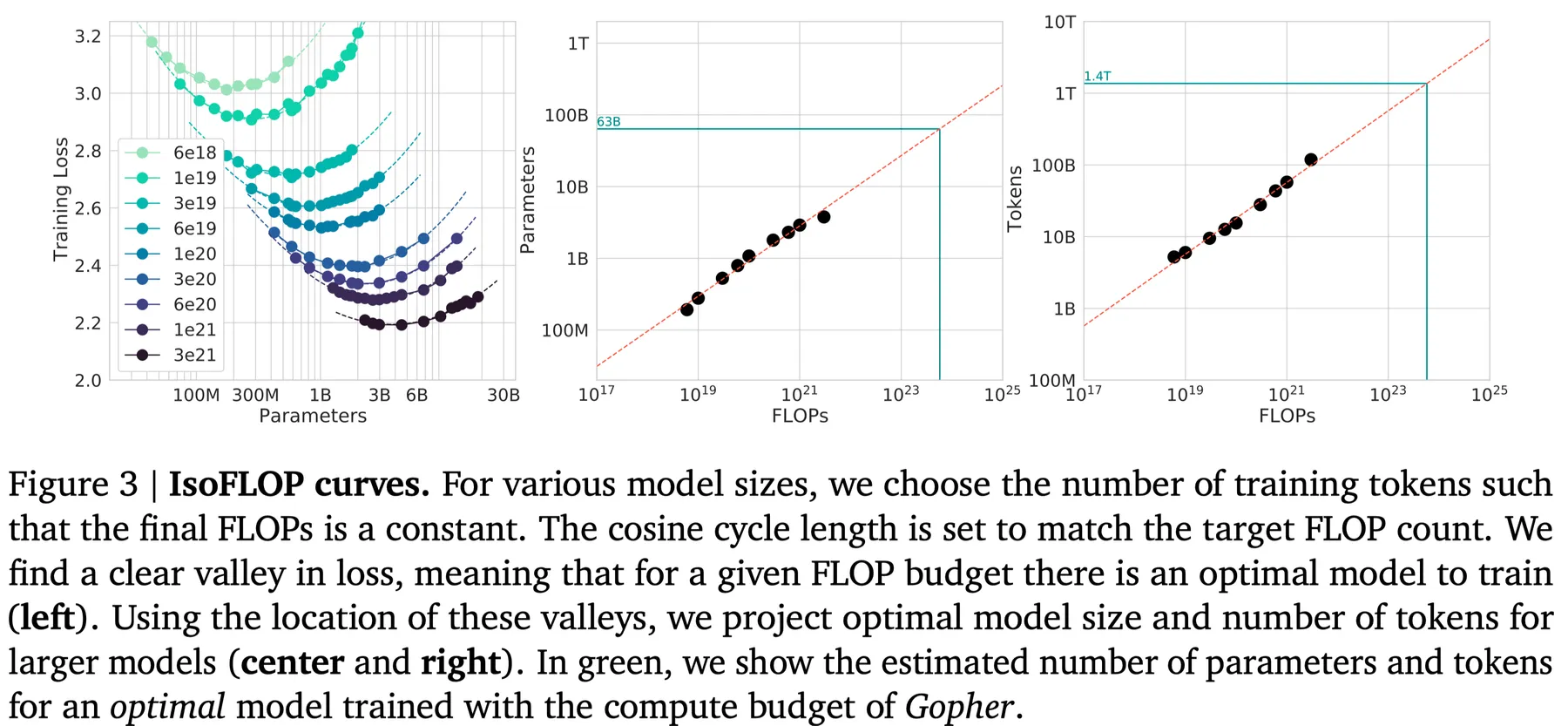 IsoFLOP curves