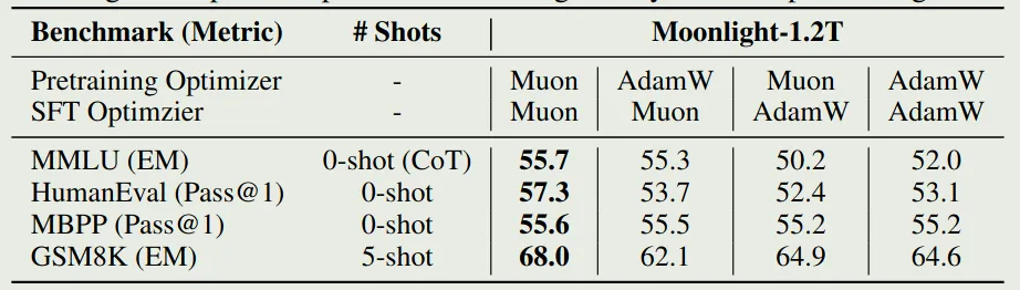 Performance of Muon on SFT stage