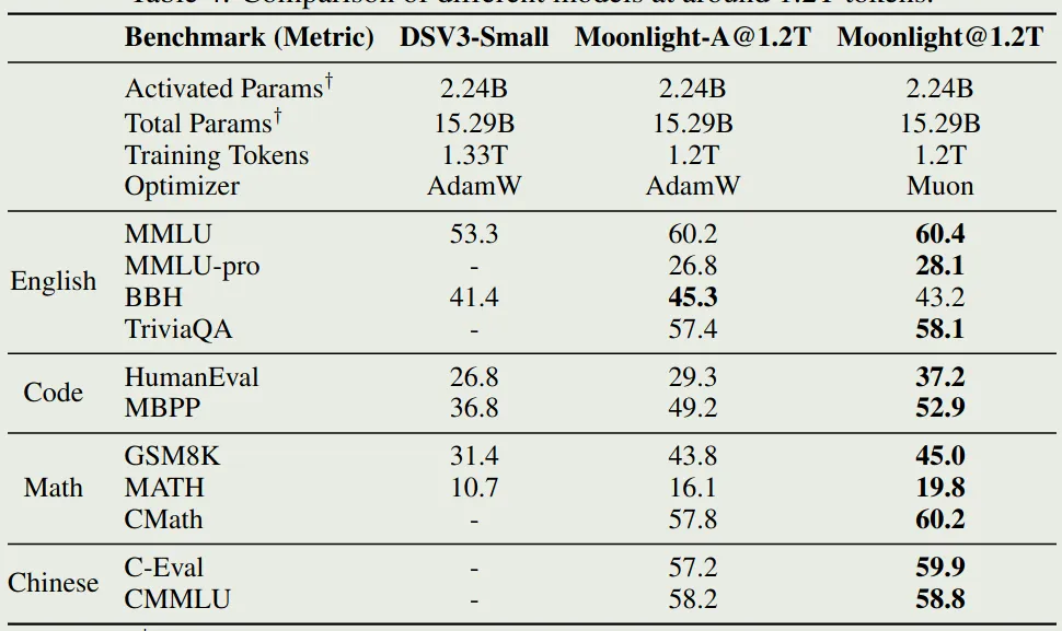 Pretraining performance of different optimizers