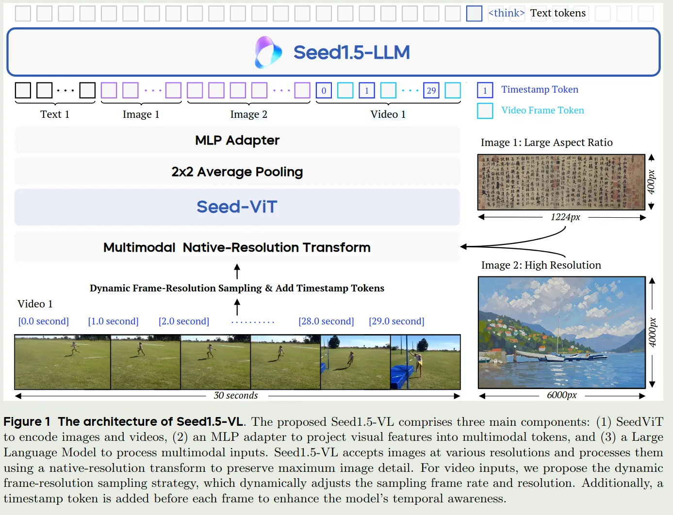 Architecture of See1.5-VL
