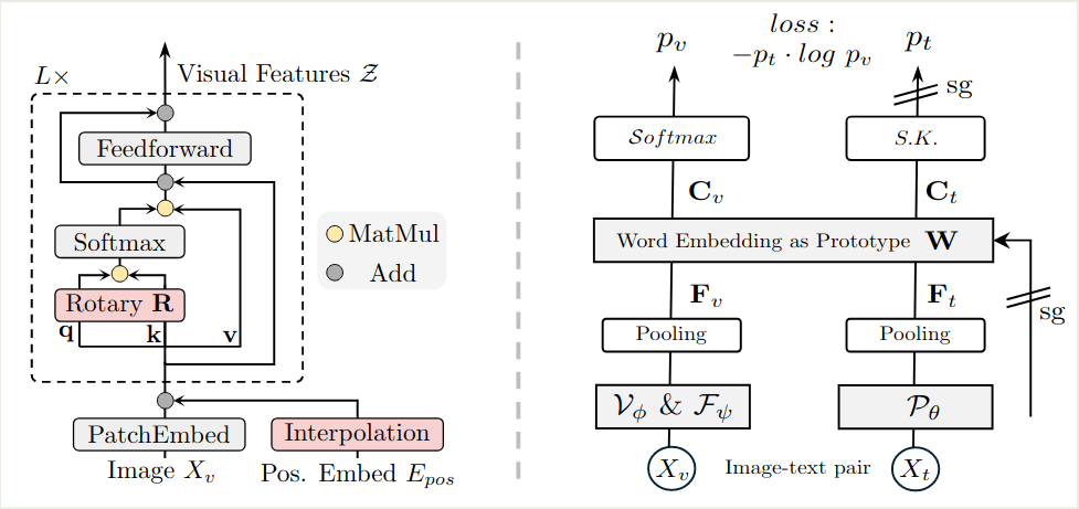 C-RoPE and Alignment Loss