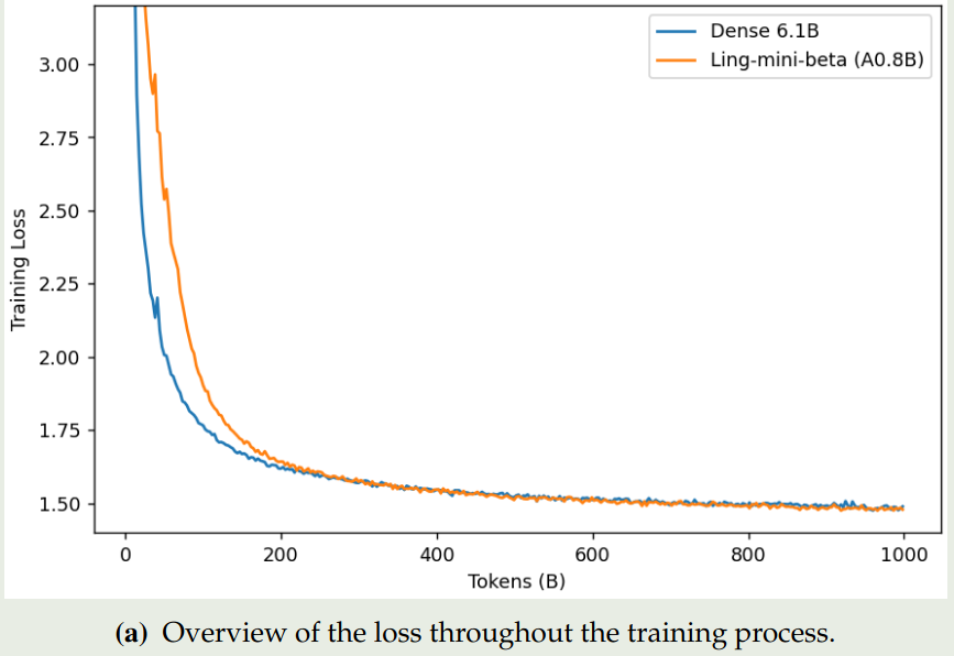 Dynamic of training loss