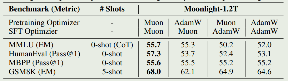 Performance of Muon on SFT stage