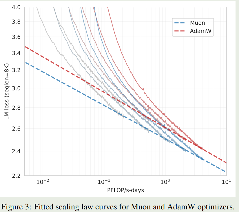 Scaling law for Muon and AdamW