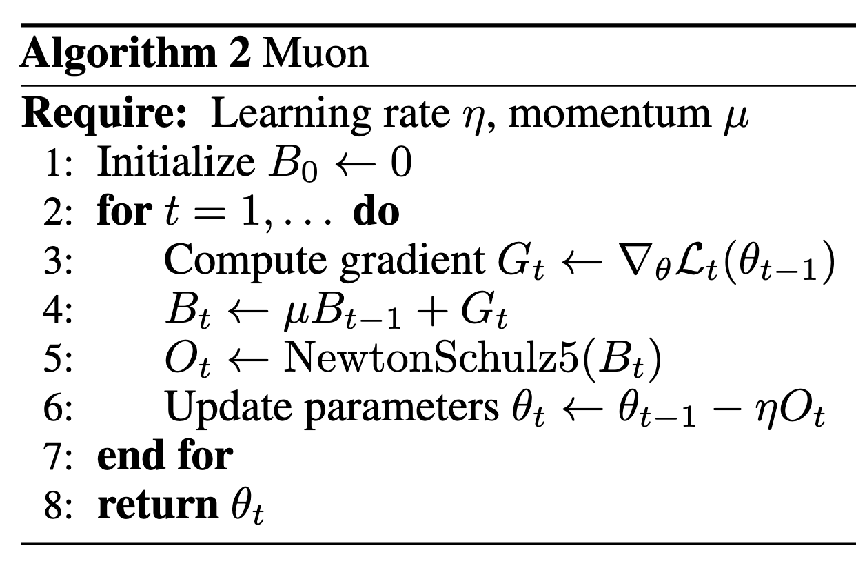 Muon Algorithm