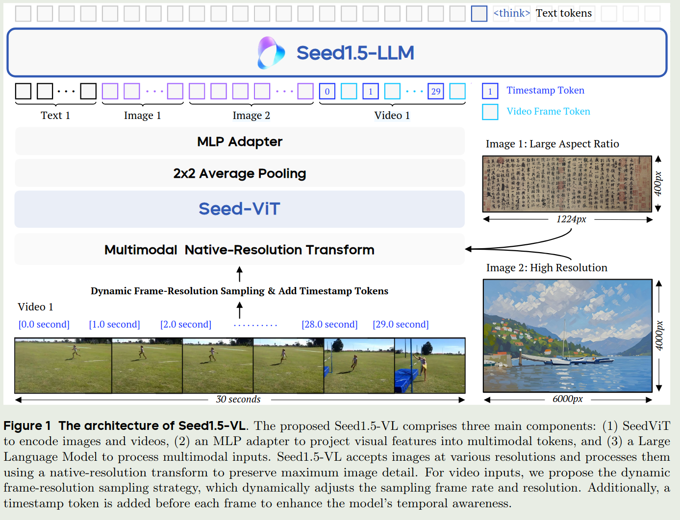 Architecture of See1.5-VL