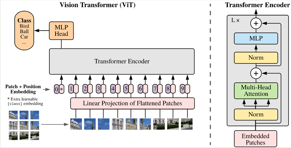 Architecture of ViT
